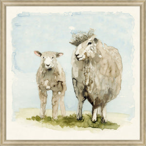 Lamb Duo