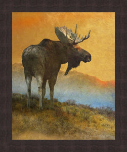 Moose Looking Back