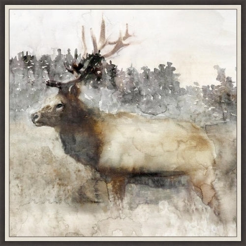 Mountain Elk II